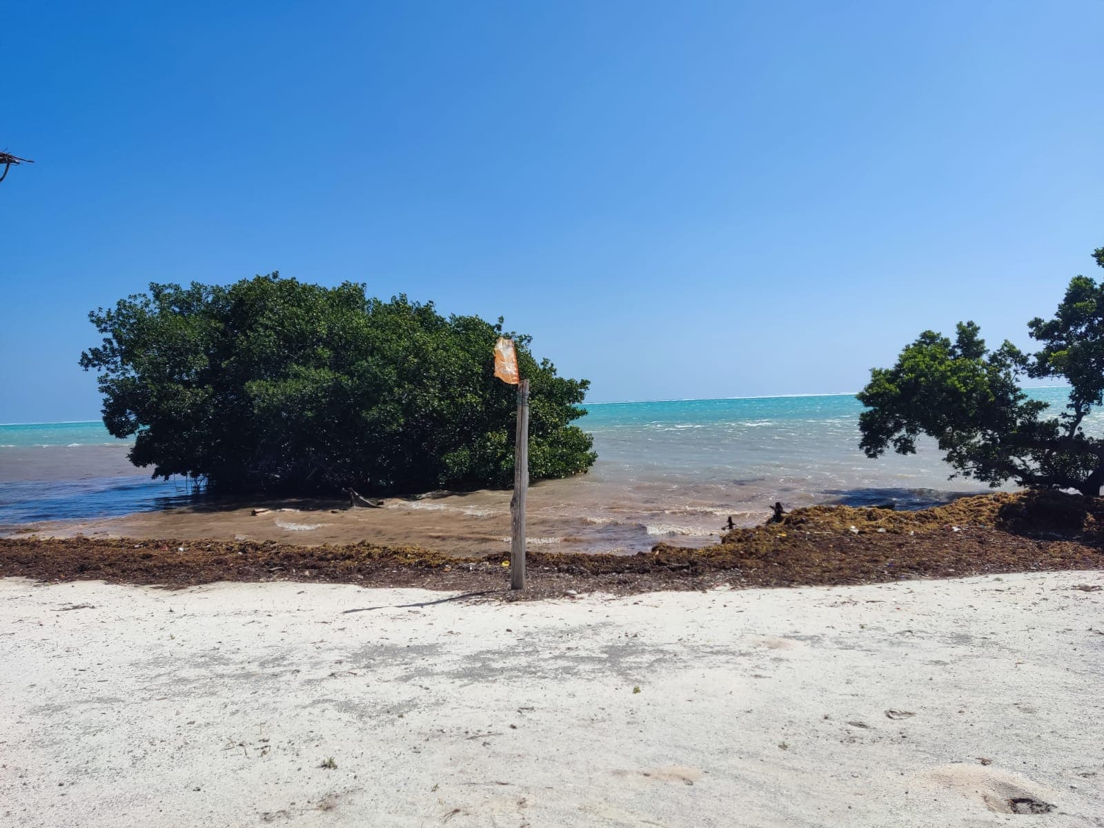 Terreno frente al mar en Xcalak | 5,224.58 m²