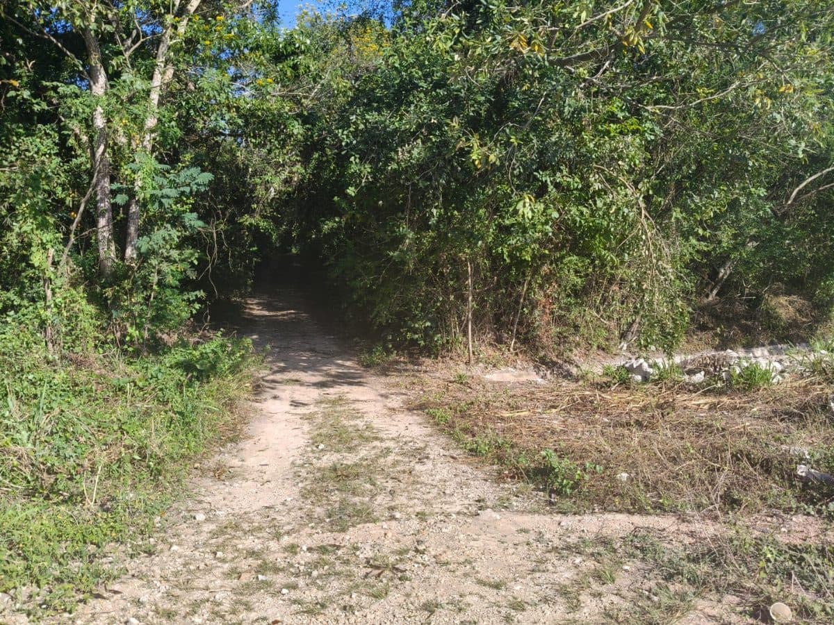 Terreno en Bacalar — foto 1